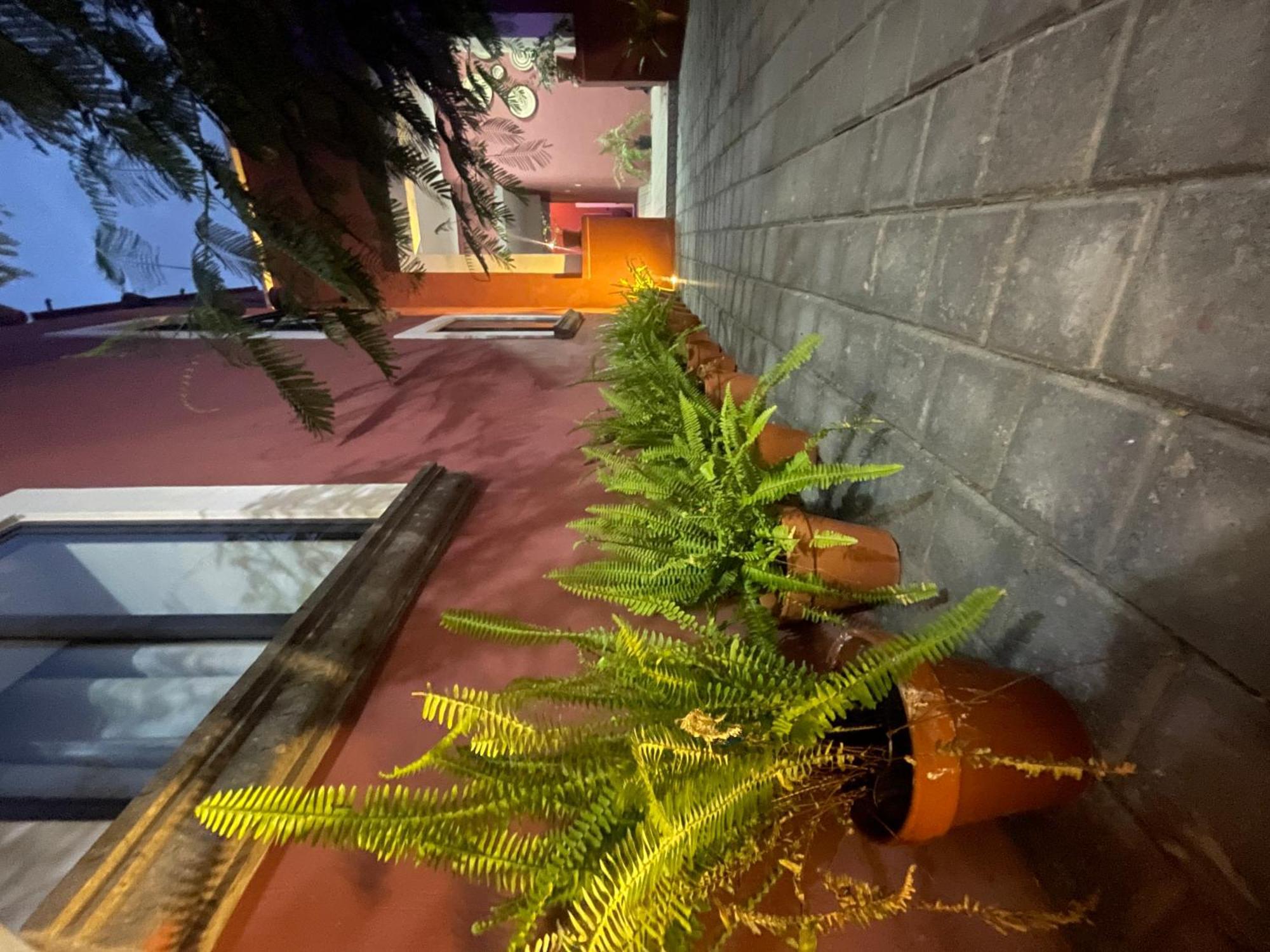 Quinta La Perla Hostel Guadalajara Ngoại thất bức ảnh