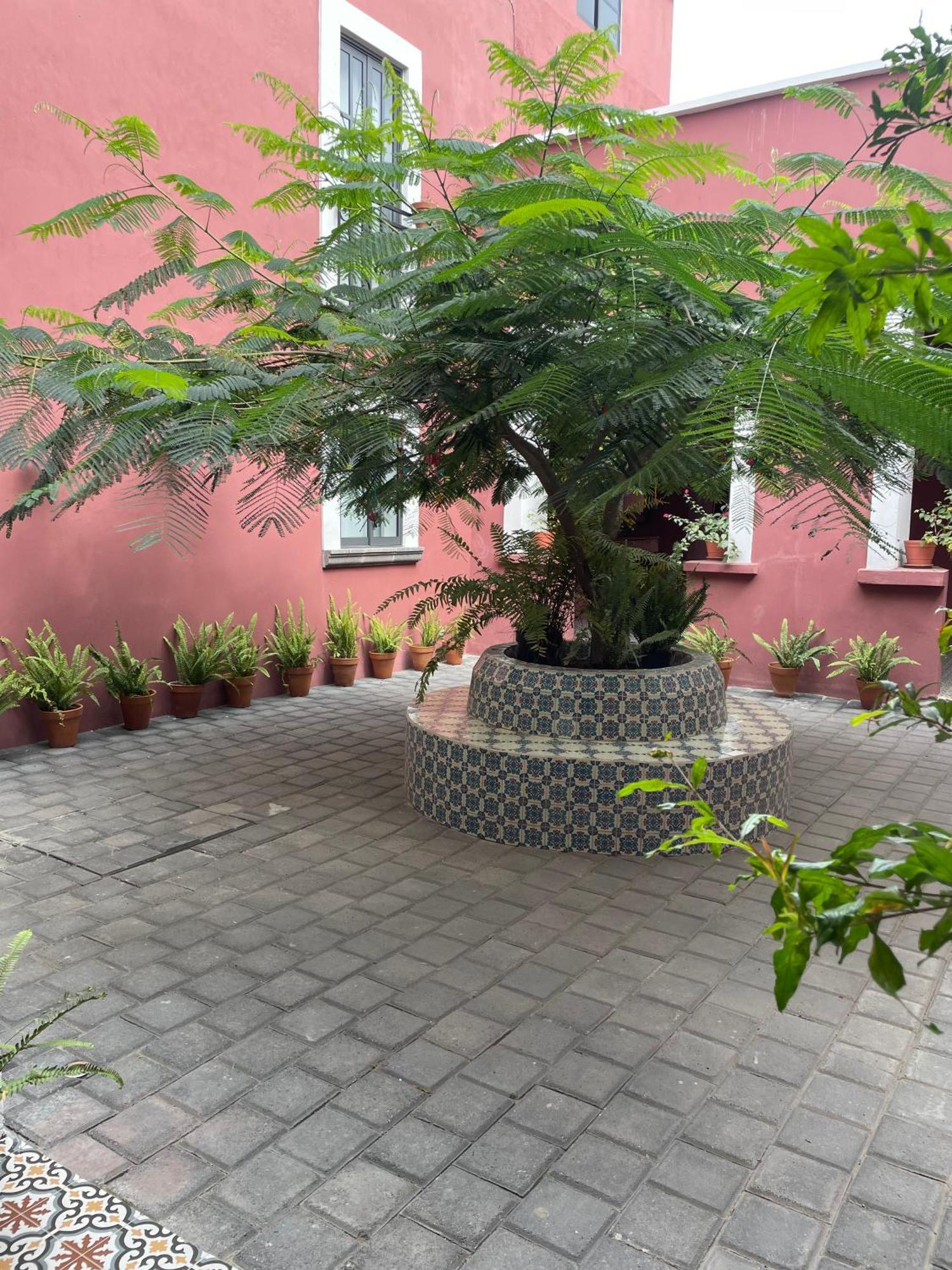 Quinta La Perla Hostel Guadalajara Ngoại thất bức ảnh